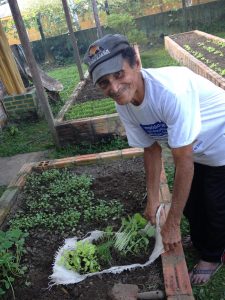 Imagem da notícia - Envira: IDAM incentiva cultivo de horta caseira