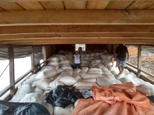 Imagem da notícia - Idam de Ipixuna acompanha escoamento de 52 toneladas de farinha de mandioca