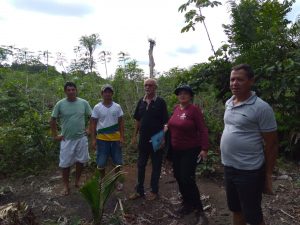 Imagem da notícia - Extensionistas do Idam em Nova Olinda do Norte visitam viveiro de açaí inserido no Edital Floresta em Pé
