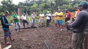 Imagem da notícia - Em Carauari, grupo visita plantio de maracujá