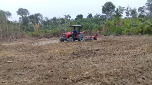 Imagem da notícia - Idam Santa Isabel do Rio Negro realiza processos de preparação do solo no sítio Santa Clara