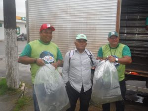 Imagem da notícia - Em Itacoatiara, 60 mil alevinos são distribuídos durante a Feira Santa do Pescado