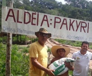 Imagem da notícia - Agricultores familiares indígenas recebem sementes de milho e de arroz