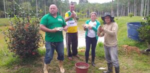 Imagem da notícia - Piscicultura ganha destaque no cenário do agronegócio no município de Codajás