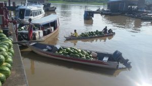 Imagem da notícia - Em Manaquiri, Idam apoia entrega de 14 toneladas de alimentos ao PAA