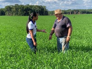 Imagem da notícia - Idam em Humaitá registra alta na produção de arroz e soja na safra 2020/2021
