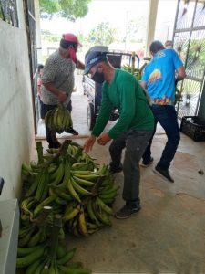 Imagem da notícia - Idam apoia a entrega de mais de 10 toneladas de alimentos ao PAA em municípios do estado