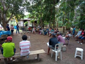 Imagem da notícia - Idam segue com cursos de implantação da cultura do açaí em Rio Preto da Eva