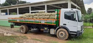 Imagem da notícia - Idam entrega licenciamento ambiental para maior produtor de laranja de Caviana