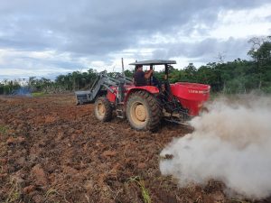 Imagem da notícia - Assistência técnica do Idam, aliada a tecnologia, beneficia agricultores familiares em Caapiranga