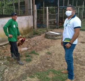 Imagem da notícia - Governo do Amazonas, por meio do Idam, realiza ações de apoio à produção animal