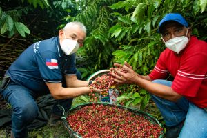 Imagem da notícia - Em Silves, Governo do Estado acompanha início da colheita dos cafés clonais Robustas Amazônicos