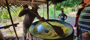 Imagem da notícia - Em Atalaia do Norte, Idam realiza pela primeira vez curso de boas práticas na produção de farinha