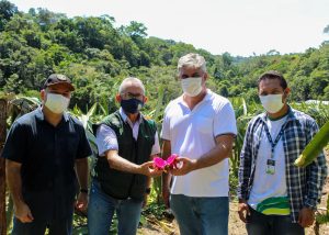 Imagem da notícia - Governo do Amazonas realiza visita técnica em produção de pitaya visando expansão desse cultivo no estado