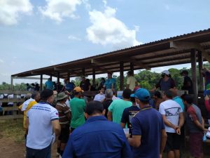 Imagem da notícia - Idam realiza dia do campo voltado para para Criação de Bovinos em Itacoatiara