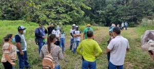 Imagem da notícia - Governo do Amazonas investe na produção de sementes de malva com unidade de observação em Manacapuru
