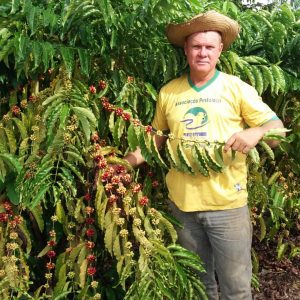 Imagem da notícia - Governo do Amazonas apoia projeto de beneficiamento do café em Distrito de Realidade
