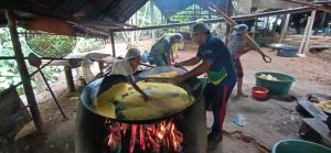 Imagem da notícia - Idam desenvolve plantio de mandioca e produção de farinha junto a comunidades indígenas de São Gabriel da Cachoeira