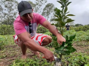 Imagem da notícia - Idam celebra o dia do Trabalhador Rural e reforça seu comprometimento com produtores rurais do Amazonas