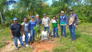 Imagem da notícia - Governo do Amazonas, por meio do Idam, investe em capacitação no cultivo de açaí em Humaitá