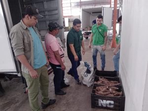Imagem da notícia - Idam atua na entrega de produtos agrícolas em Itapiranga