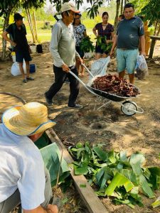 Imagem da notícia - Governo do Amazonas investe em capacitação em produção orgânica em Iranduba