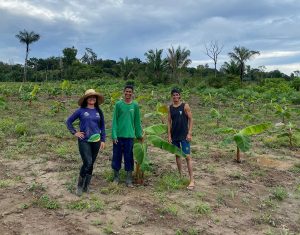 Imagem da notícia - Técnicos do Idam promovem capacitação em cultivo de banana com unidade demonstrativa no Careiro Castanho