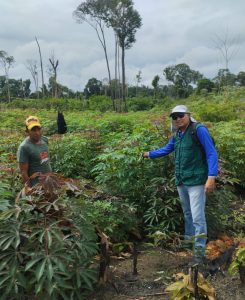 Imagem da notícia - Governo do Amazonas incentiva manejo florestal e promove oportunidades de emprego e renda em comunidades de Parintins