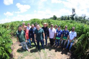 Imagem da notícia - No Distrito de Realidade, em Humaitá, Idam fomenta produção cafeeira com novos equipamentos agrícolas