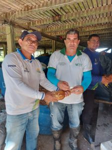Imagem da notícia - Governo do Amazonas promove vacinação de aves em Envira