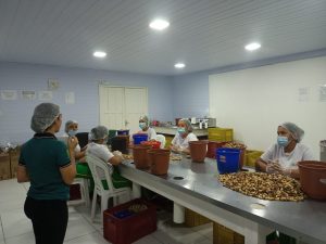 Imagem da notícia - Com o apoio do Idam, beneficiamento de castanha deve crescer 27,27% em Tapauá neste ano