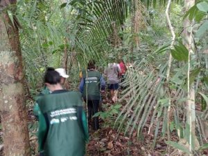 Imagem da notícia - Idam e Sema iniciam mapeamento para a realização de manejo florestal em Novo Aripuanã