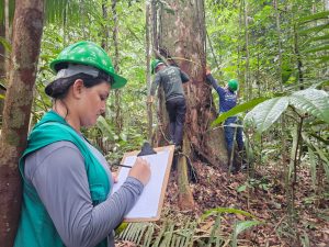 Imagem da notícia - Em Novo Aripuanã, Idam, Sema e ASL identificam 400 hectares com potencial para extração de madeira