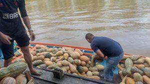 Imagem da notícia - Idam entrega oito toneladas de alimentos ao CRAS de Anamã