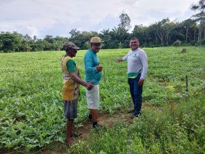 Imagem da notícia - Agricultores recebem orientações do Idam para elevar produção de melancia em Borba