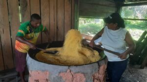Imagem da notícia - Em Rio Preto da Eva, Idam capacita 20 agricultores para a produção de derivados de mandioca