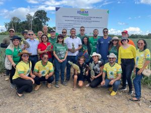 Imagem da notícia - Abacaxi de Novo Remanso é destaque no 1º Workshop de Indicação Geográfica e Marcas Coletivas do Amazonas