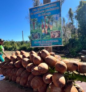 Imagem da notícia - Em Canutama, Idam destaca inventário florestal e diagnóstico produtivo em capacitação para mulheres extrativistas de babaçu