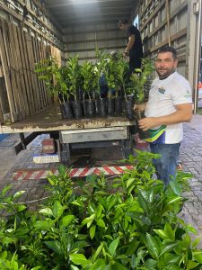 Imagem da notícia - Idam atua na entrega de 4,2 mil mudas de café e citros a agricultores do Amazonas