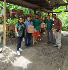 Imagem da notícia - Meliponicultura de Rio Preto da Eva recebe oito colônias para criação de abelha sem ferrão