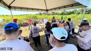 Imagem da notícia - Em Itacoatiara, mais de cem agricultores familiares participam de “Dia de Campo da Mandioca”