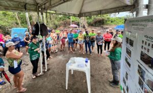 Imagem da notícia - Idam realiza demonstrações de método sobre produção de abacaxi em Barreirinha