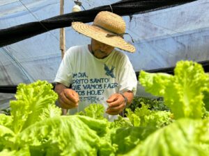 Imagem da notícia - Unidades Locais do Idam no interior recebem documentação para credenciamento no Preme