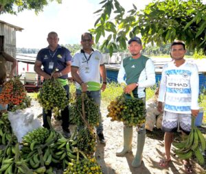 Imagem da notícia - Idam realiza logística de sete toneladas de alimentos produzidos por agricultores familiares indígenas