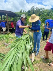 Imagem da notícia - Idam oferece Demonstração de Métodos (DM) a pecuaristas de Itapiranga