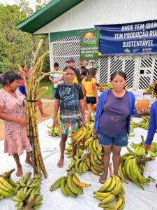 Imagem da notícia - Em Envira, quatro toneladas de alimentos produzidas por agricultores indígenas são entregues à Casai