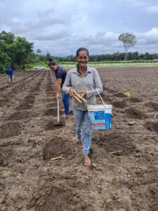 Imagem da notícia - São Sebastião do Uatumã é contemplado com duas Unidades Demonstrativas de Mandioca do Idam 
