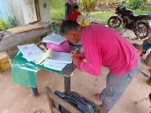 Imagem da notícia - Em Autazes, Idam implanta viveiro de cupuaçu com capacidade para cultivo de 5 mil mudas