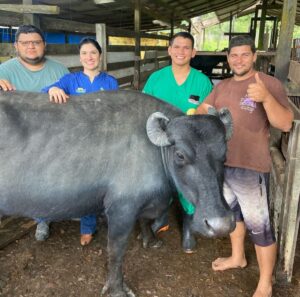 Imagem da notícia - Em Itacoatiara, Idam acompanha início das atividades do Programa Mais Pecuária Brasil