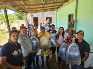 Imagem da notícia - Governo do Amazonas entrega 60 mil alevinos para piscicultores de Iranduba